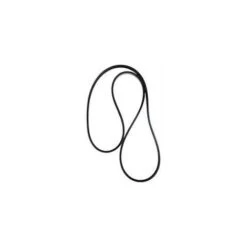 Cinghia Poly V 790 J 12 Per Betoniera 250/300/350 Polieri Silenziata