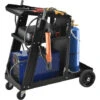 ProTec Carrello In Acciaio Per Trasporto Saldatrice Con Portabombola Carrello Portautensili A 3 Ripiani Carrello Portaattrezzi Da Officina -ProSald Italia 20415094 1