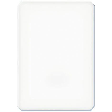 Pierre Ammoniaca Welco 65 X 45 X 20 Mm 4 Pierre Ammoniaca Welco 65 X 45 X 20 Mm - immagine 2