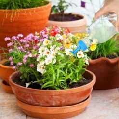 LTS FAFA 4 Pezzi Tappo Di Bottiglia Sprinkler, Irrigatore Tappo Di Bottiglia, Mini Irrigatore Per Bottiglie, Testa Di Irrigatore Per Annaffiatoio Bonsai Per Annaffiatoio Interno, Piantine, Piante E Gi -ProSald Italia 67411359 4